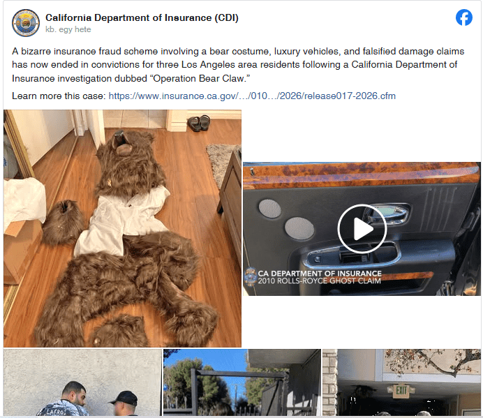 Biztosítási csalás medvejelmez